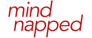 Bild von der Webseite von mindnapped GmbH